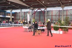 limoge avril 2016 2
