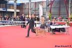 limoge avril 2016 6