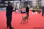 limoge avril 2016 475