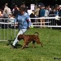 concours_libourne_15mai2016_302.JPG