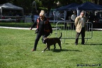 concours libourne 15mai2016 424