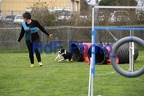 Club Canin Saintes - Entrainement du 18 mars 2017