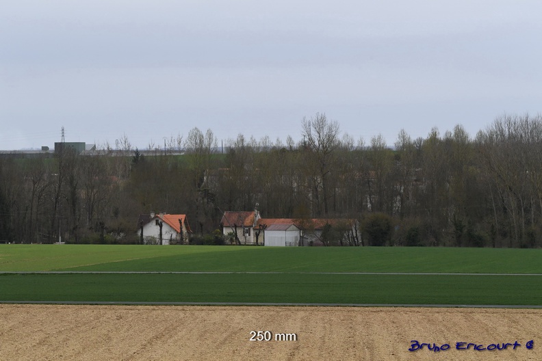 BU1 0261 - BU1_0261.JPG BU1_0261.JPG