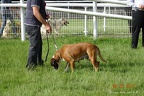 DSC00494