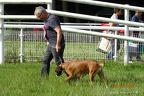 DSC00500