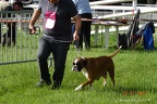 DSC00501