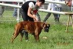 DSC00517
