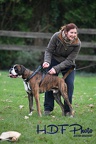 Chiens Entrainement