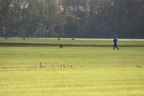 IMG 8936