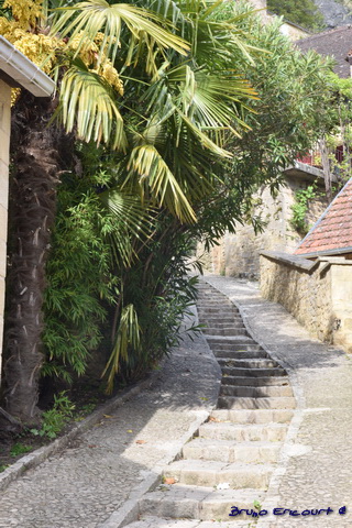 ERC 4367 - ERC_4367.JPG ERC_4367.JPG