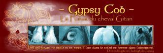 Forum des Gypsy Cob