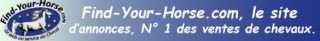 www.find-your-horse.com, annonces de vente et achats de chevaux, camions, vans...